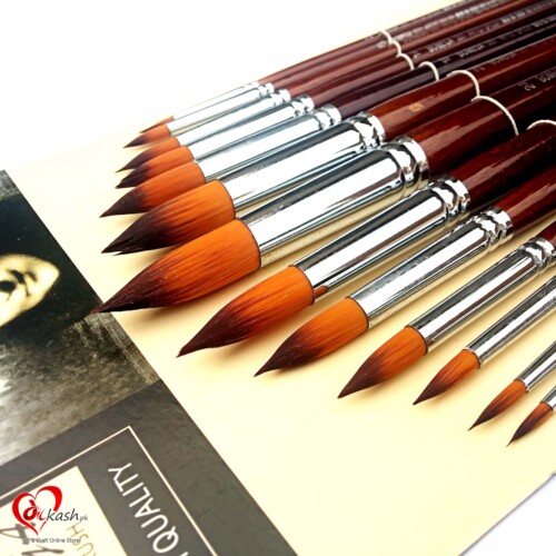 Bomega Round Best Artist Paint Brush Set (13 Brushes) for Acrylic, Watercolor Painting by Bomega Artist Brush-0