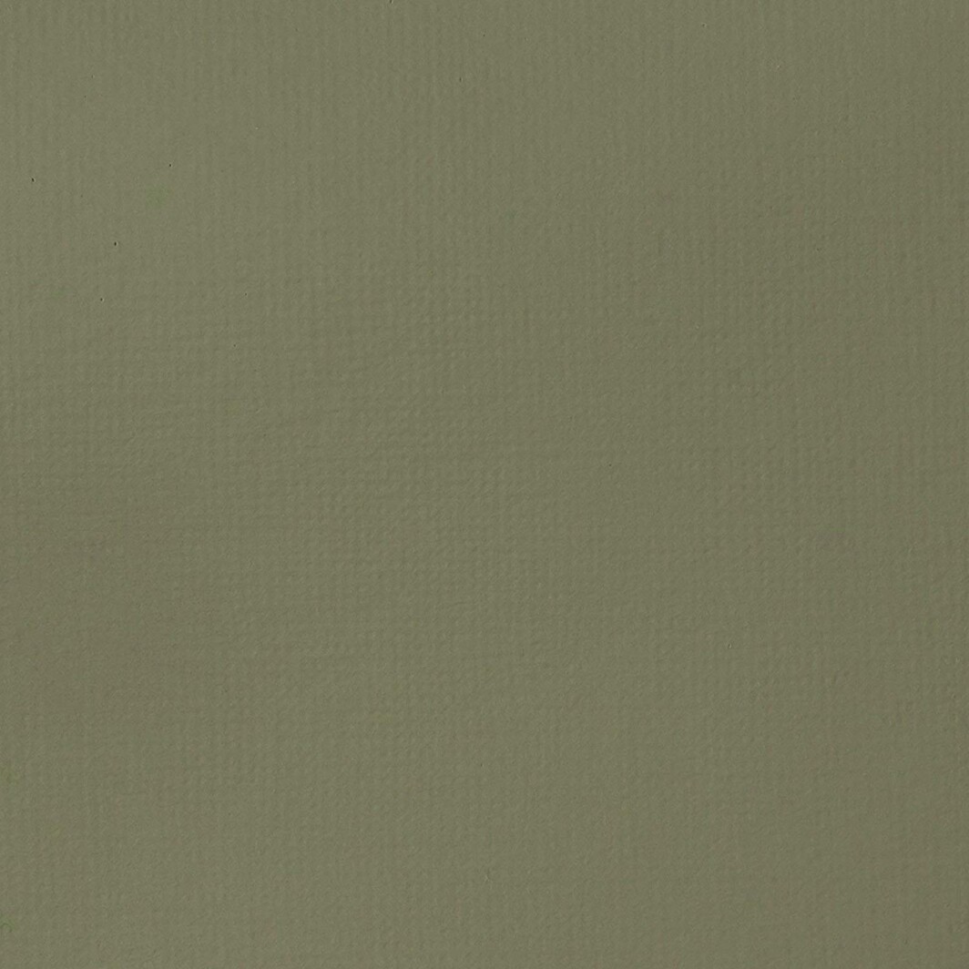 Liquitex BASICS Acrylic Paint, 4-oz tube, Green Gray-4583
