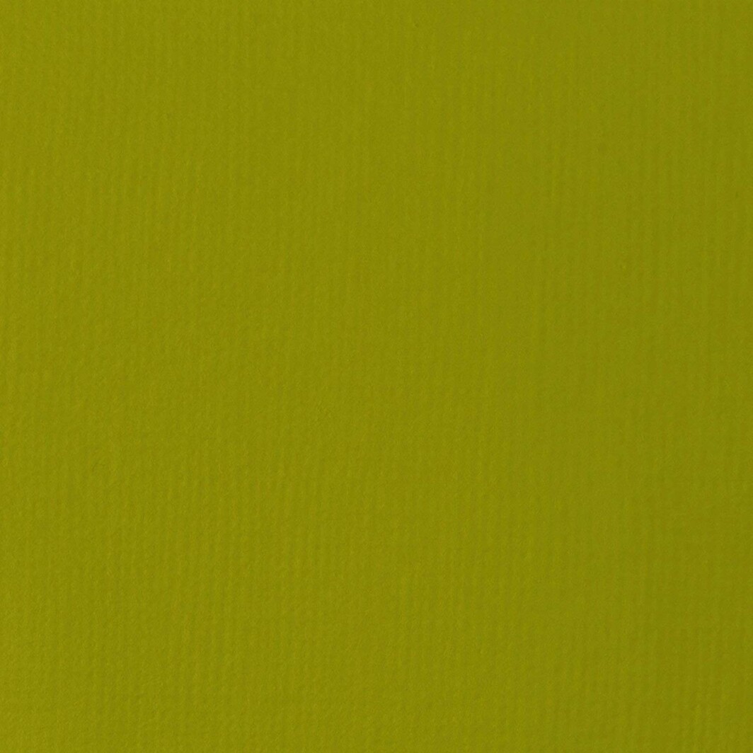 Buy Liquitex BASICS Acrylic Paint 4-oz tube, Light Olive Green Online