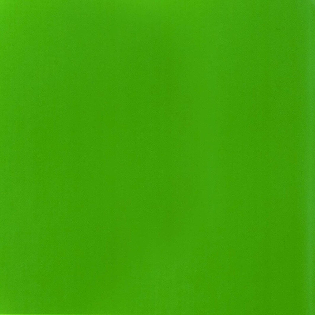 Liquitex BASICS Acrylic Paint, 4-oz tube, Fluorescent Green-4578
