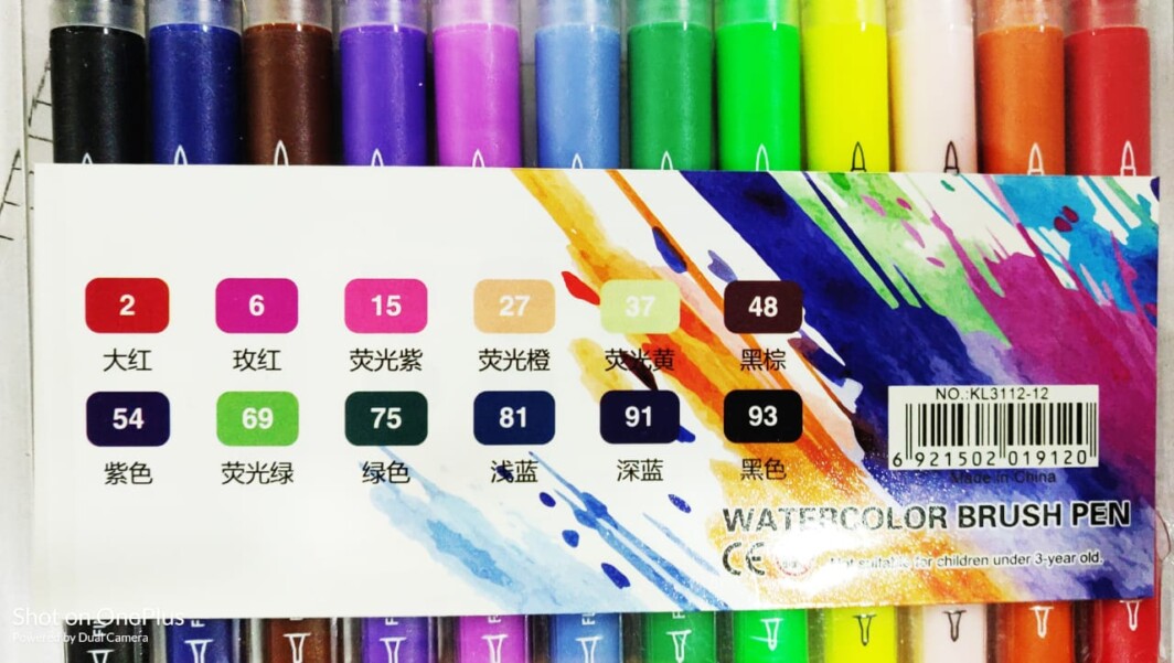 ASINT Watercolor Brush Pens Dual Tip Set (12 Color) with Fineliners Art Markers, and Highlighters for Adult Coloring Books, Art, Sketching, Calligraphy, Manga, Bullet Journal-4863