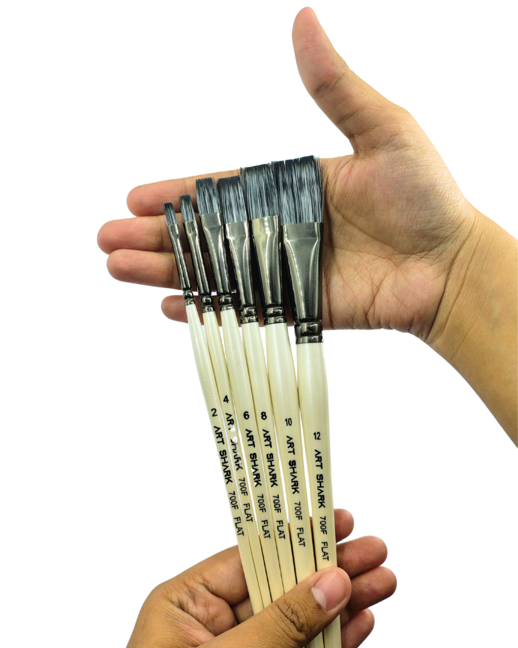 ART SHARK Flat Brush Set of 6 Pcs for Watercolor, Acrylic & Oil - Image 3