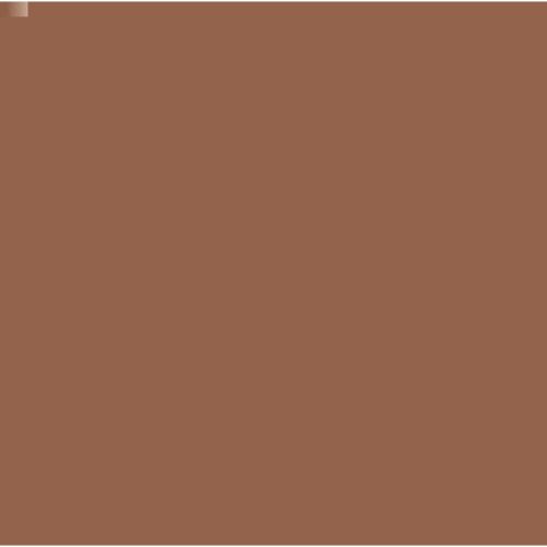 Camel Artist Water Colour 20ml Tube Sepia (396) swatch