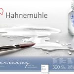 Hahnemühle Harmony Watercolour Paper Block, Cellulose, Rough, 300gsm, 9″X 12″