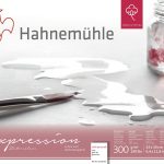 Hahnemühle Expression Watercolour Block, 300gsm, Cold Pressed, Size 24 x 30 cm