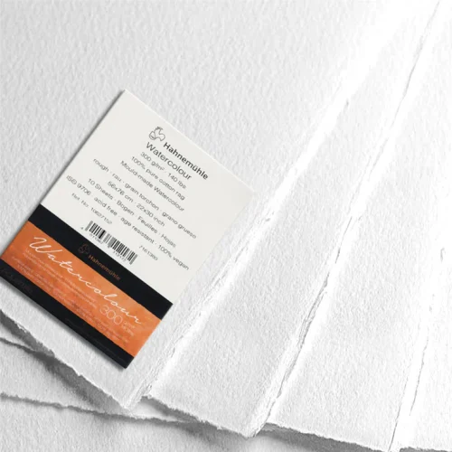 Hahnemühle The Collection Watercolour Paper Sheets, 300gsm, Rough, 56X 76 cm