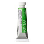                               Holbein Watercolor Cadmium Green Pale 5ml Tube, W069
