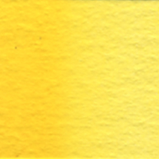                               Holbein Watercolor Permanent Yellow Deep 5ml Tube, W037