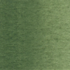                                              Holbein Watercolor Green Grey 5ml Tube, W152
