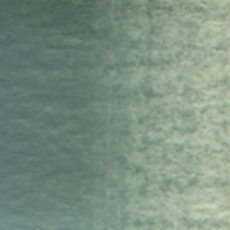                                                   Holbein Watercolor Davy's Grey 5ml Tube, W155