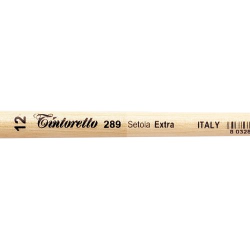 Tintoretto Extra Bristles Short Flat Brush Series 289,Size-12 