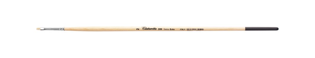 Tintoretto Extra Bristles Short Flat Brush Series 289,Size-2