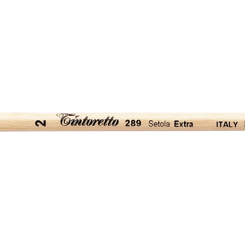 Tintoretto Extra Bristles Short Flat Brush Series 289,Size-2