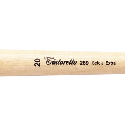 Tintoretto Extra Bristles Short Flat Brush Series 289,Size-20