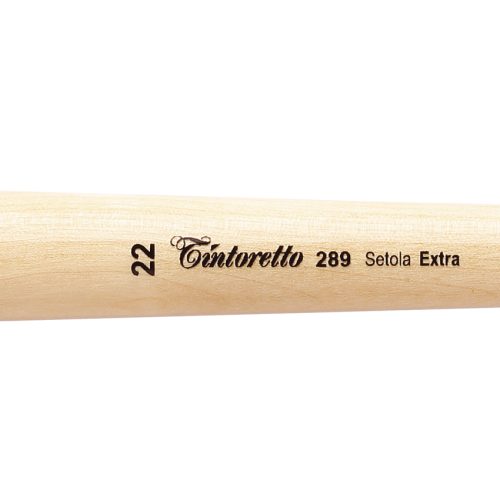 Tintoretto Extra Bristles Short Flat Brush Series 289,Size-22