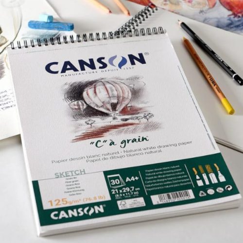                                                                 Canson "C" "a' Grain Sheet -125gsm, A3 ( 29.7 x 42cm) 5 Sheet