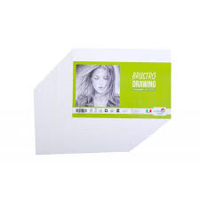 Brustro Artists' Drawing Paper 200GSM 50X 70Cm (20 Sheets)